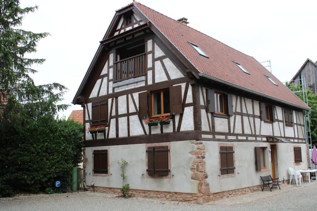 Spacieux Duplex 1 A 6 Personnes Ebersheim Exteriör bild